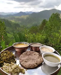 Best food and Stay near Kaichi Dham Uttarakhand