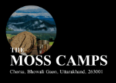 The Moss Camps